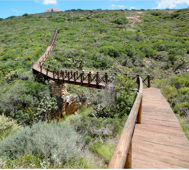0 Bedroom Property for Sale in Nautilus Bay Western Cape